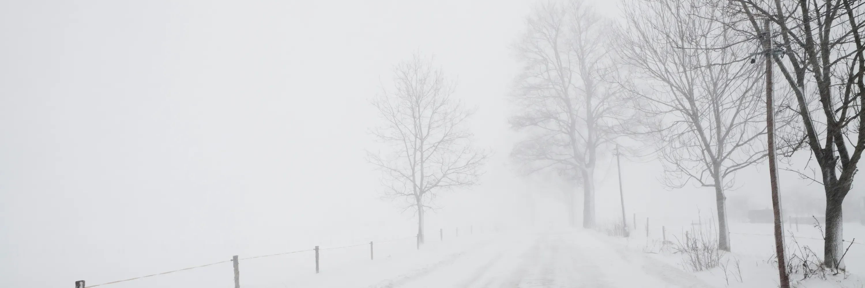 Image shows a rural road covered in snow during a heavy winter storm, with leafless trees lining both sides and visibility severely reduced by fog. A red badge graphic with a checkmark and the word “JanuREADY” overlays the right side of the image, suggesting preparedness for severe January weather.