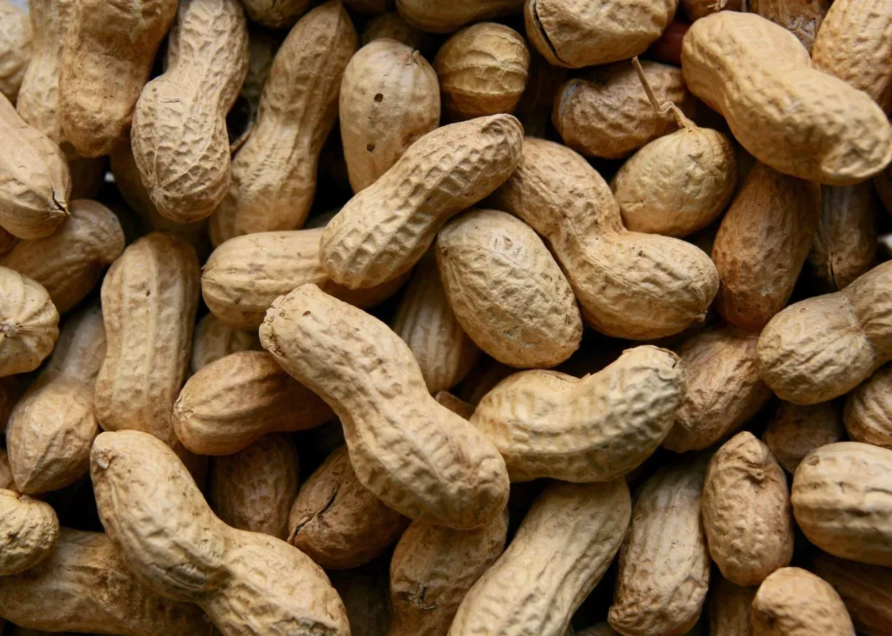 A close-up of unshelled peanuts piled together, showing their textured tan shells and natural variation in shape and size.