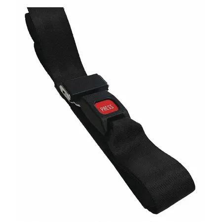 Strap, 9 Ft,  Nylon reusable metal buckle Ea