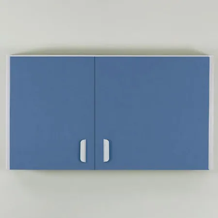 Managed Care Quick Wall Cabinet w 2 Doors, Lg Rt Door