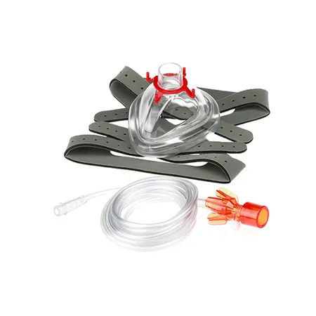 CPAP System Single-Use Large Adult, Ea