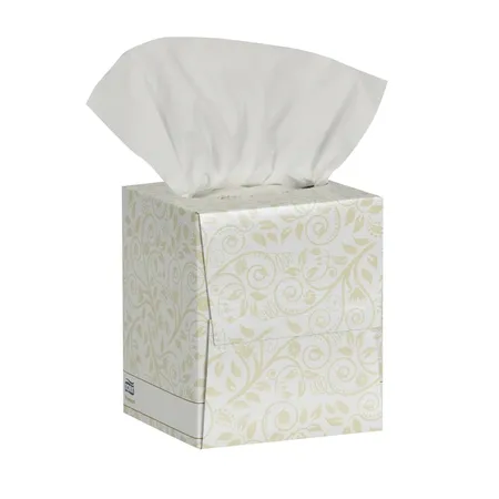 Facial Tissue, Premium, 2 Ply, White, 100/Bx