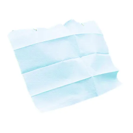 Patient Bib 13.5" x 18" 2-Ply T/P Blue, 500/Case