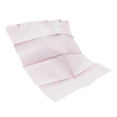 Patient Bib 13.5" x 18" 2-Ply T/P Mauve, 500/Case