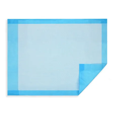 Underpad Heavy Absorbency 17" x 24" Tissue 2-Ply Blue, 300/Case